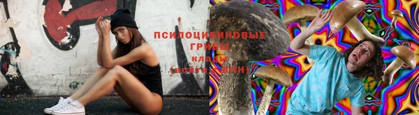 прущие крисы Горнозаводск